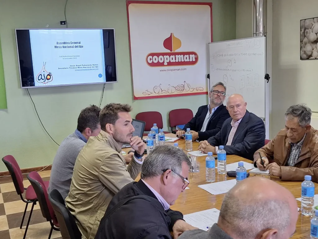 Mesa Nacional del Ajo Español